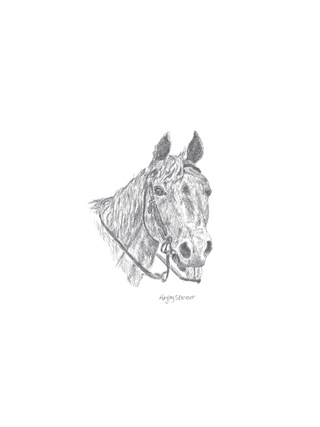 Horse- Digital Download