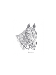 Horse- Digital Download